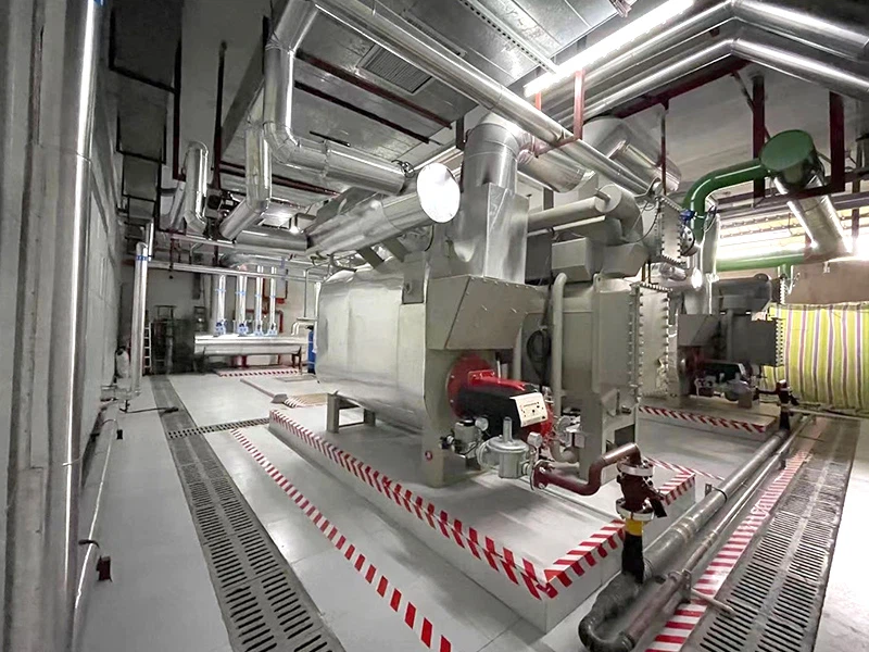 10000IMG7298 10000IMG7298